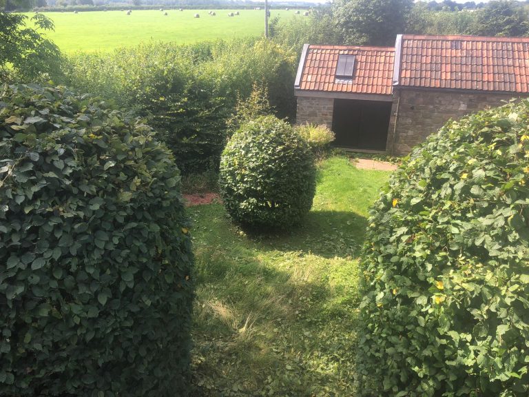 Hedge Pruning